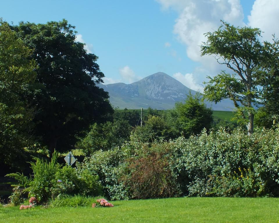 Greenside B&B Westport Habitación foto